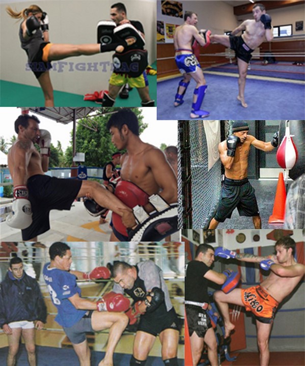 Short boxe anglaise - Arts Martiaux Lyonnais et Sports de Combat